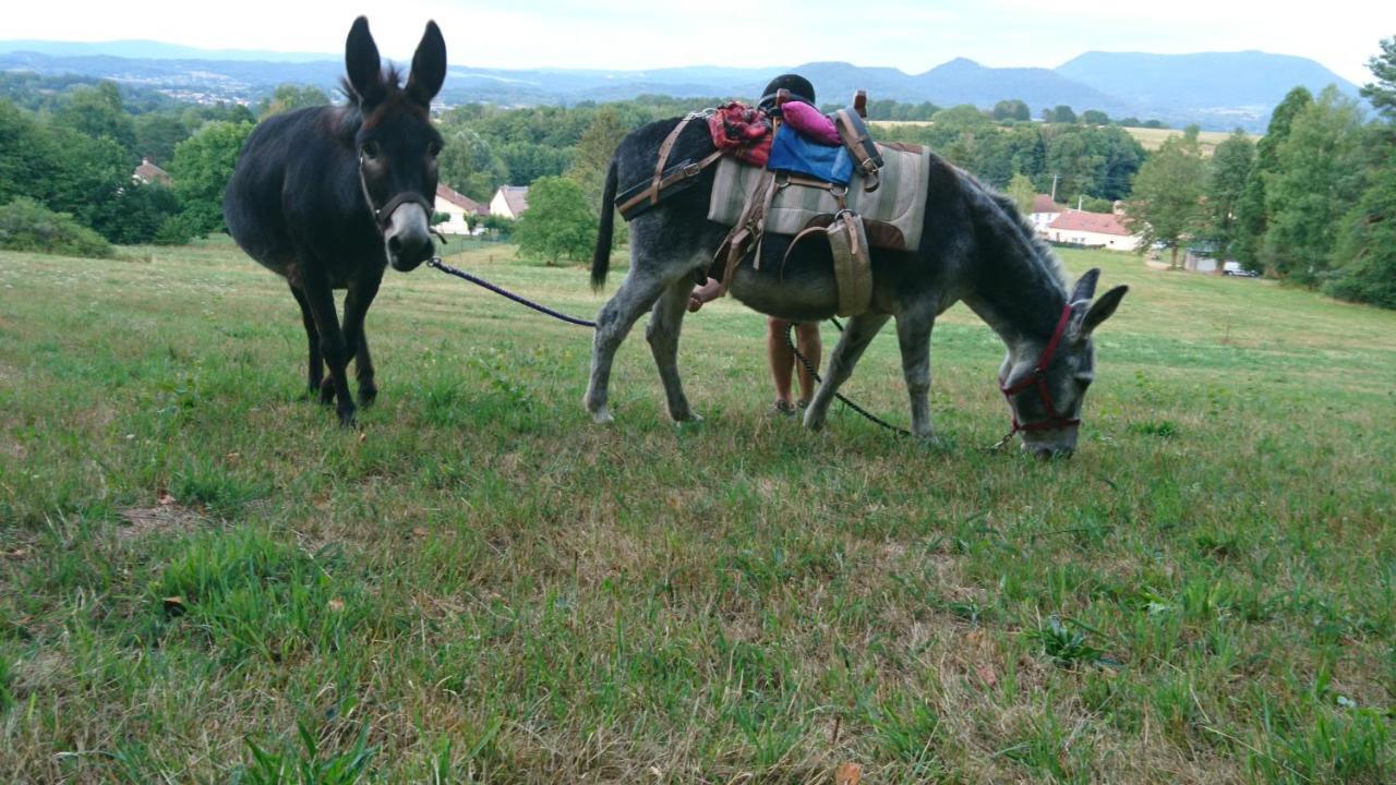 Roulotte Le Temps De Rever Bed & Breakfast Saint-Michel-sur-Meurthe ภายนอก รูปภาพ